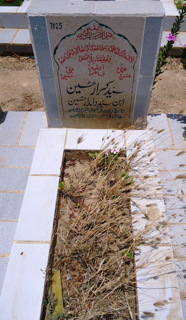 7025 – Syed Karar Hussain