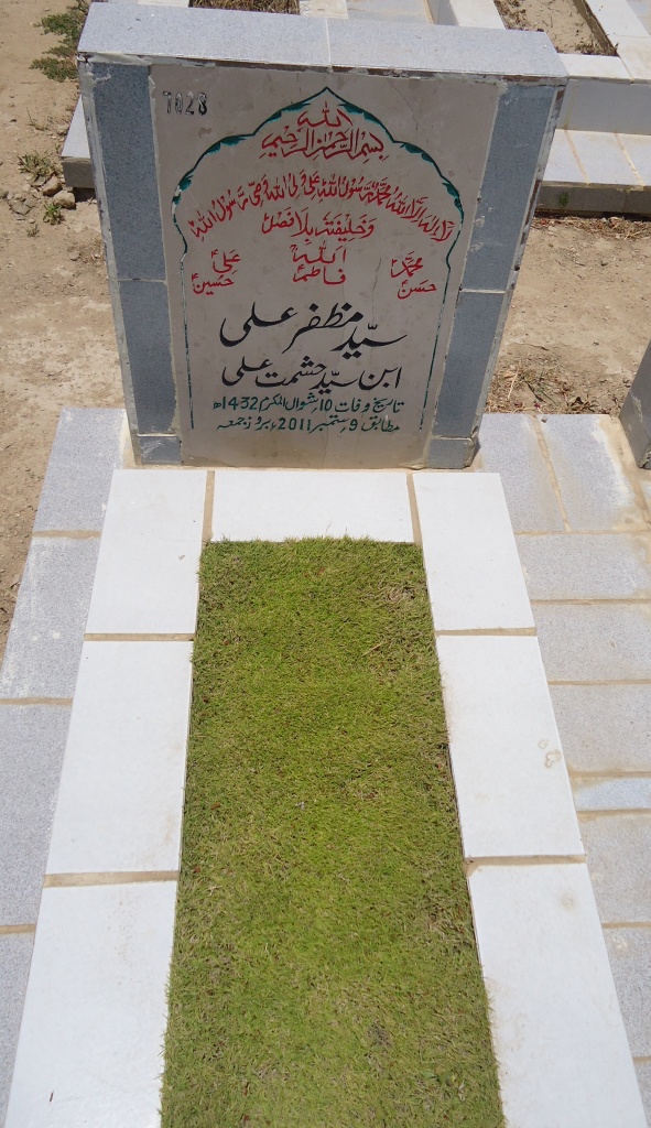 7028 – Syed Muzaffar Ali