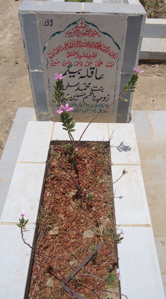 7033 – Aaqla Begum