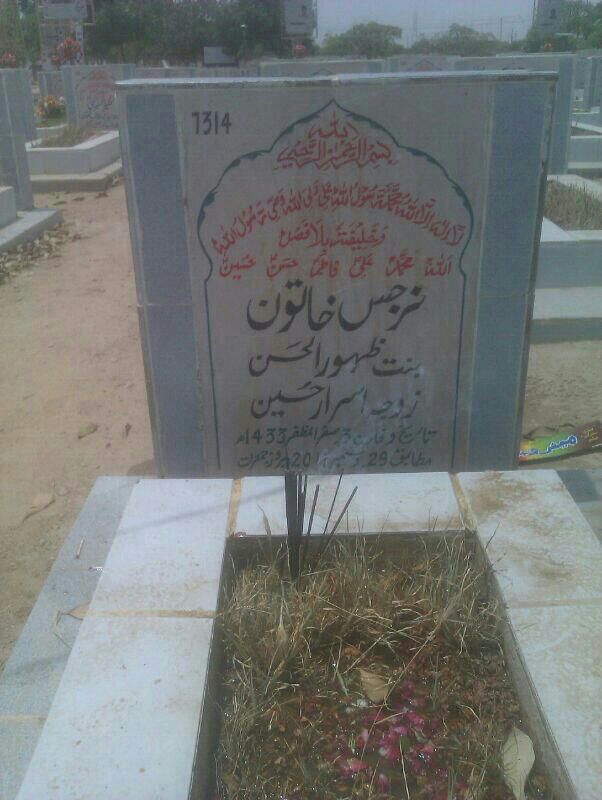 7314 – Syed Tafazul Mehdi