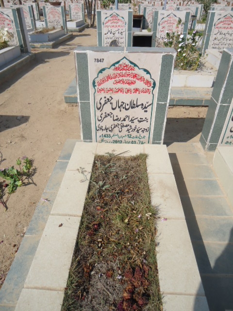 7847 – syeda sultana jahan jaffery