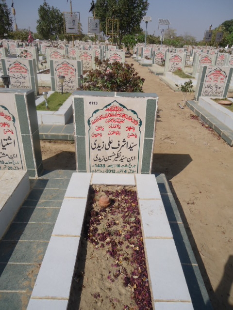 8113 – Syed Ashraf Ali Zaidi