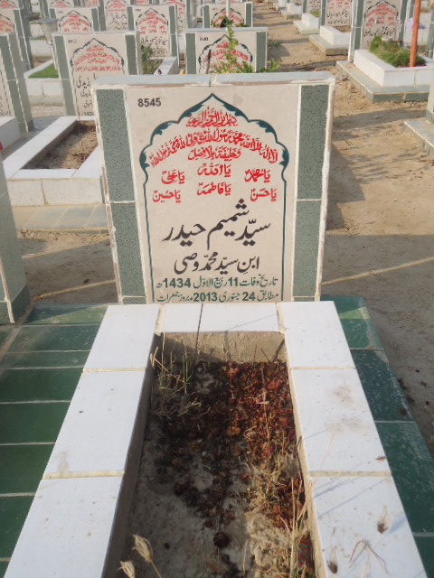 8545 – Syed Shamim Haider