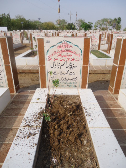 6001 – Syeda Hakim Zadi