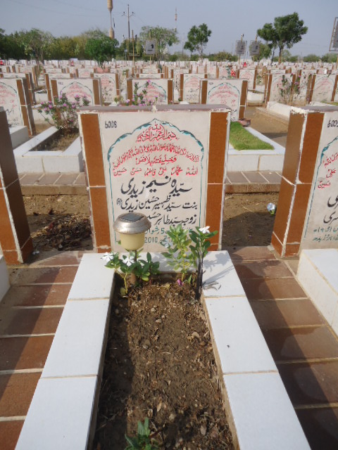 6008 – Syeda Naseem Zaidi