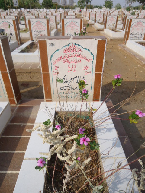 6014 – Ghulam Mehdi