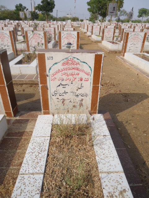 6019 – Tahira Begum