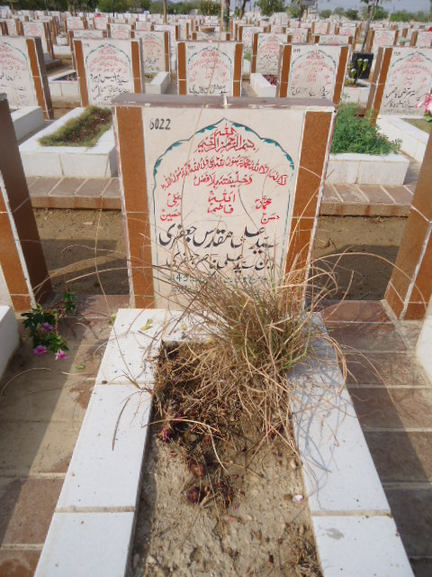 6022 – Syed Ali Muqaddas Jaffery