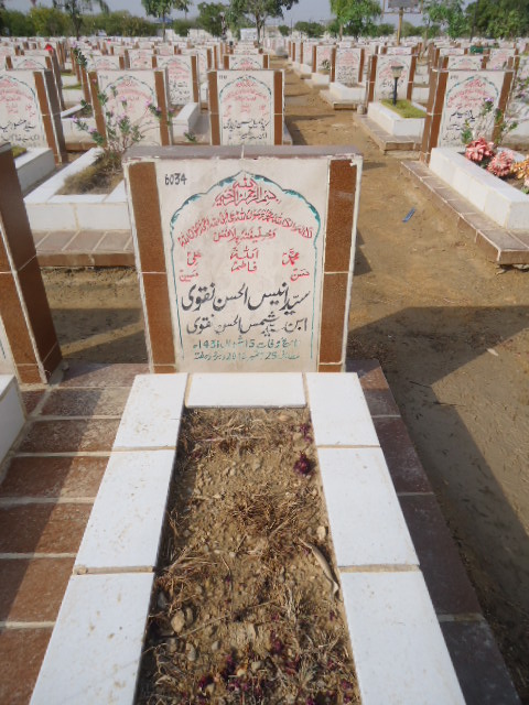 6034 – Syed Anees Ul Hasan Naqvi