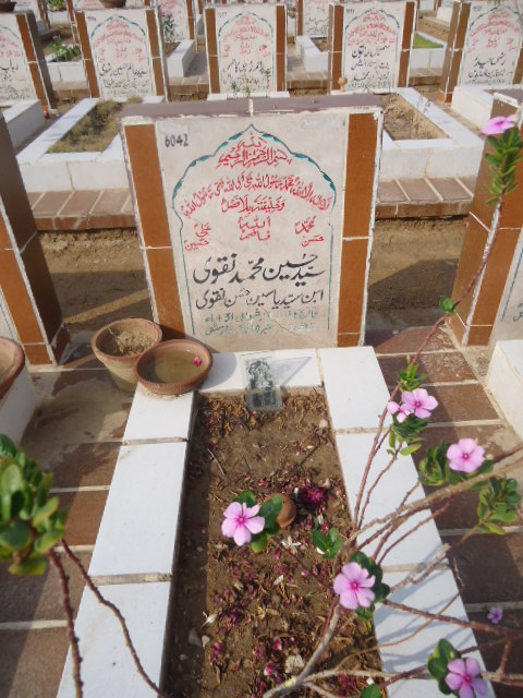 6042 – Syed Hussain Mohd Naqvi