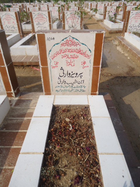 6044 – Parveez Warsi