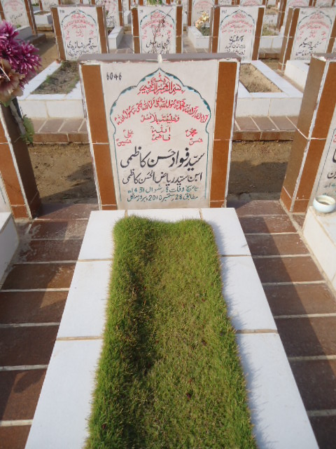 6046 – Syed Fawad Hasan Kazmi
