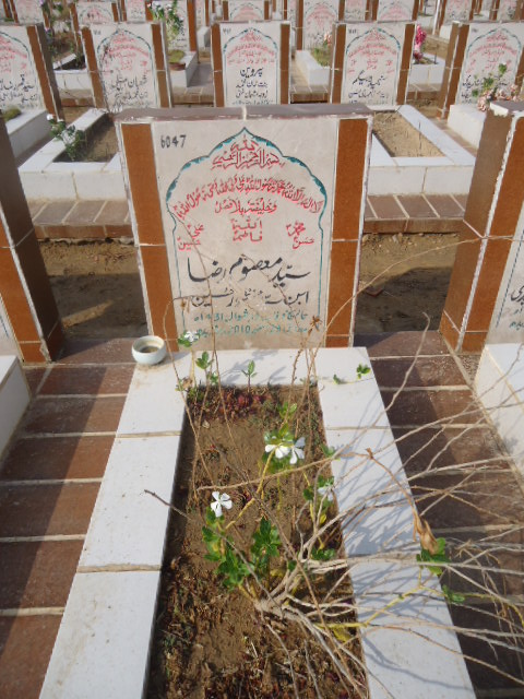 6047 – Syed Masoom Raza