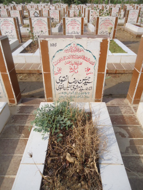 6063 – Syed Hasan Raza Naqvi