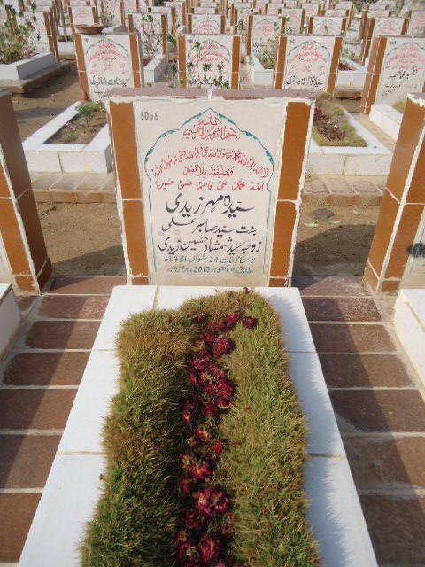 6066 – Syeda Meher Zaidi