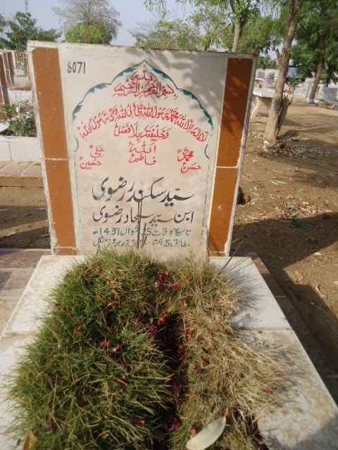 6071 – Syed Sikander Rizvi