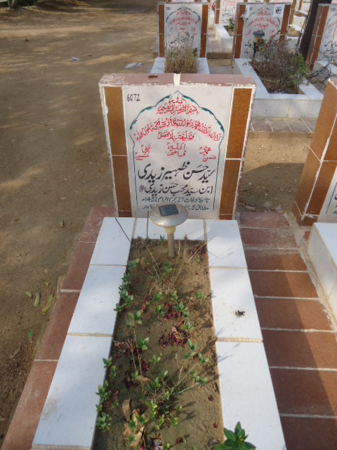 6072 – Syed Hasan Zaheer Zaidi