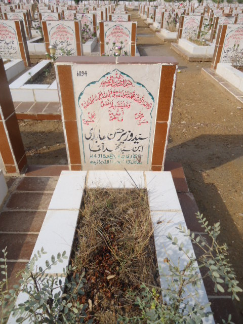6094 – Syed Wazeer Hasan Abidi