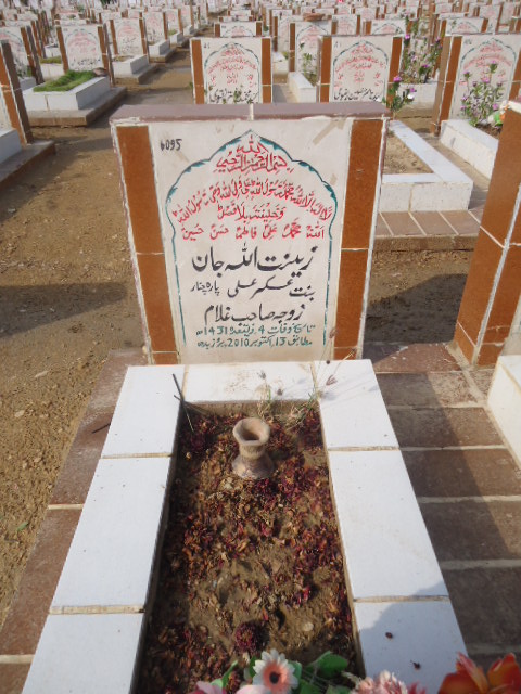 6095 – Zeenat Allah Jan