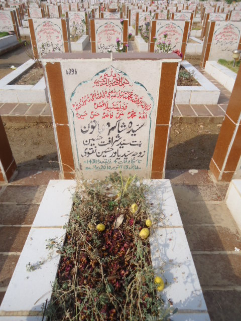 6096 – Syeda Shakra Khatoon