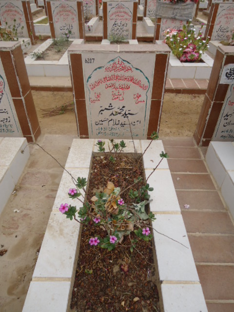 6207 – Syed Mohd Shabbar