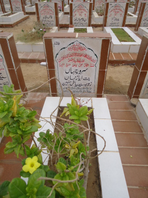 6216 – Sarwar Jahan