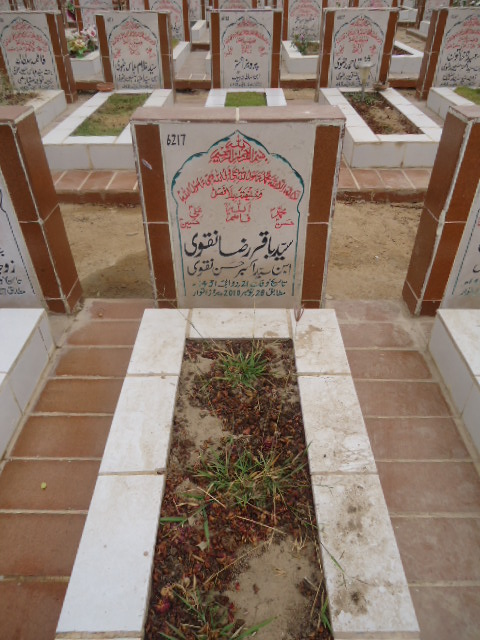 6217 – Syed Baqar Raza Naqvi