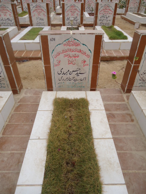 6218 – Syed Hasan Mehdi