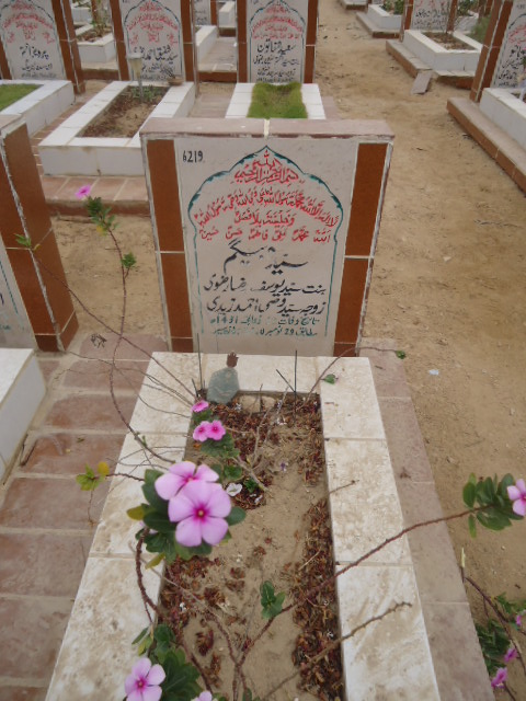 6219 – Syeda Begum