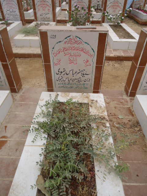 6228 – Syed Jaffar Abbas Rizvi