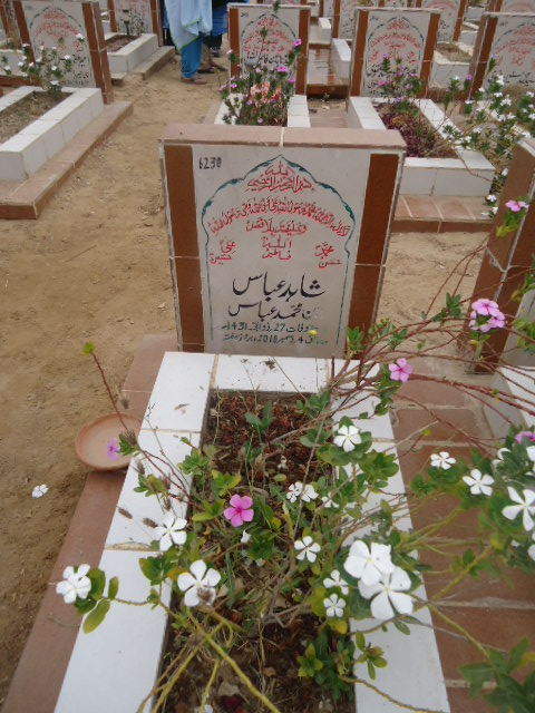 6230 – Shahid Abbas