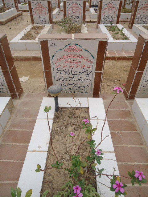 6236 – Syeda Sarwat Araa Begum