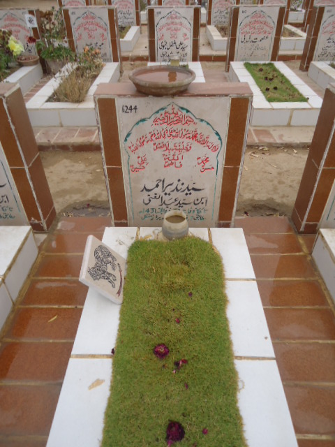 6244 – Syed Nazeer Ahmed