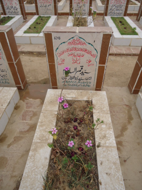 6246 – Qamar Ul Islam