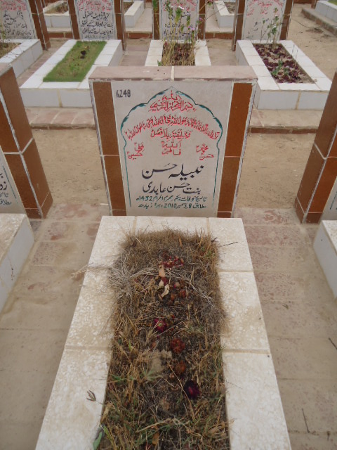 6248 – Nabeela Hasan