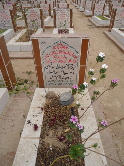 6249 – Syeda Fatima Sultana