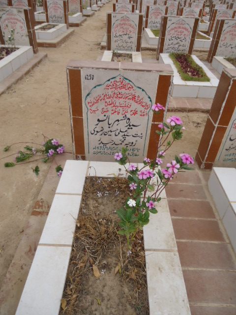 6250 – Syeda Shehar Bano