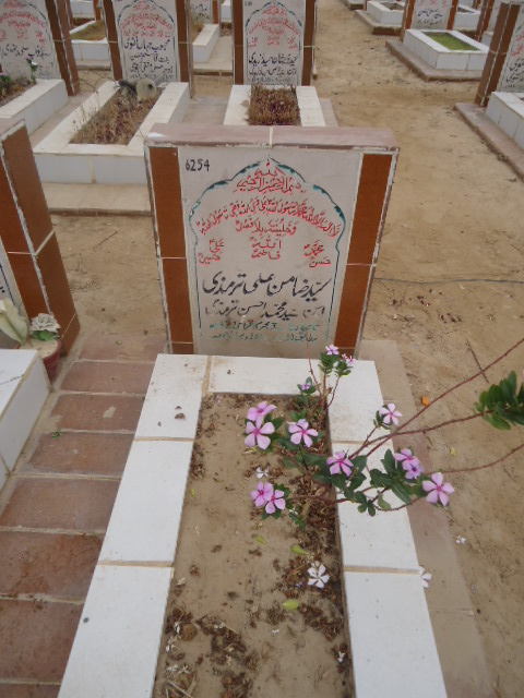 6254 – Syed Zamin Ali Termizi