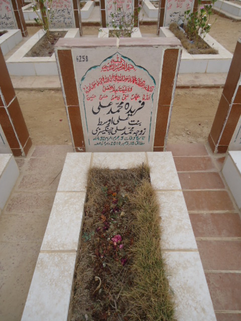6258 – Fareeda Mohd Ali