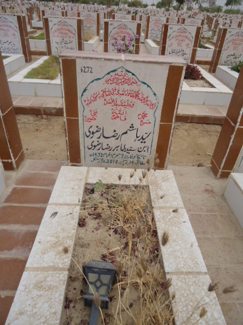 6272 – Syed Hashim Raza Rizvi