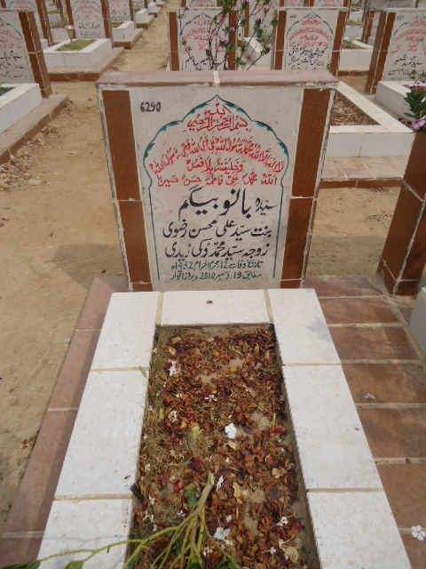 6290 – Bano Begum