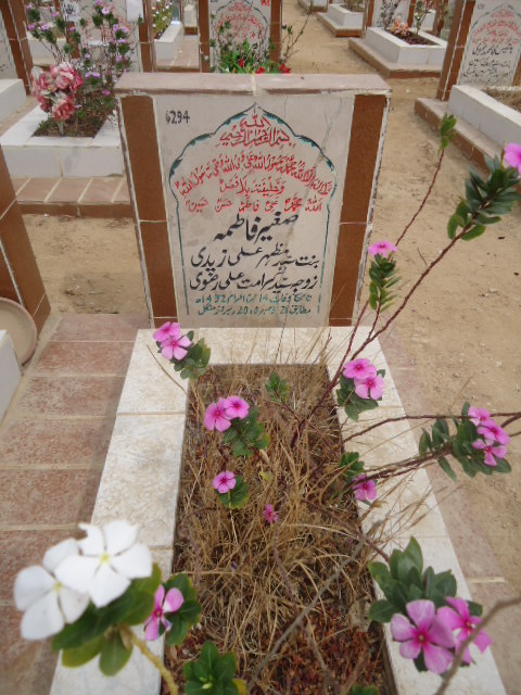6294 – Sagheer Fatima