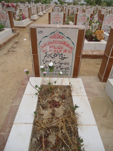 6295 – Syeda Akhtari Begum