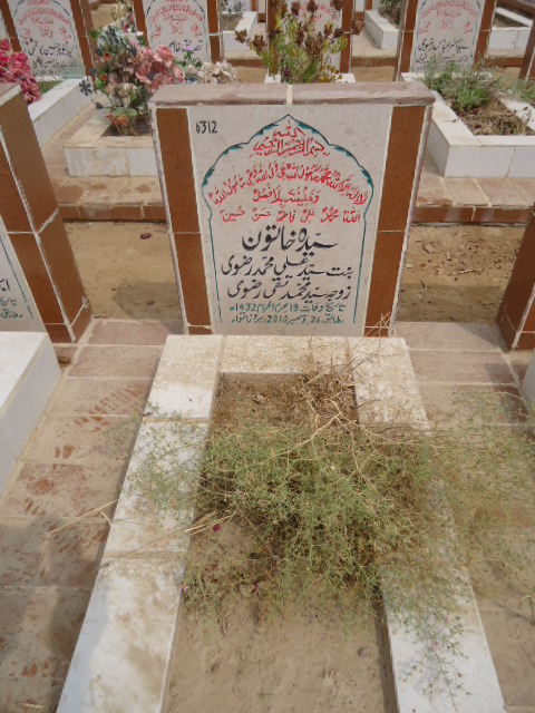 6312 – Syeda Khatoon
