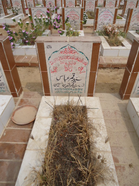 6316 – Syed Qamar Abbas