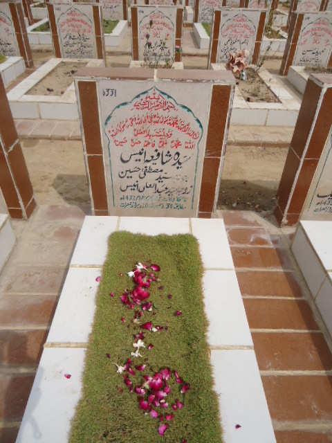 6331 – Syeda Shafay Anees
