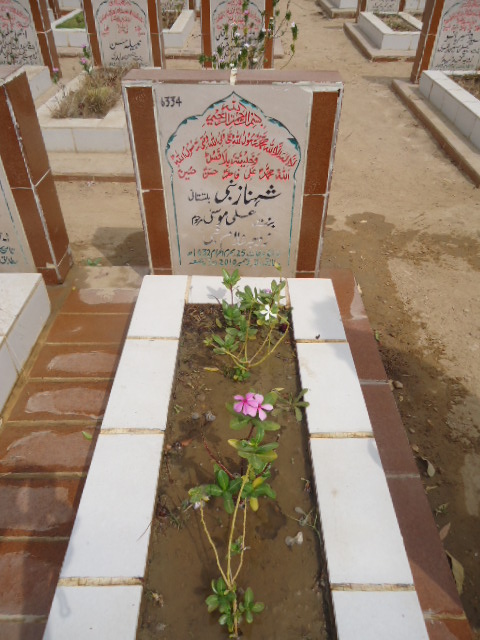 6334 – Shenaz Nabi