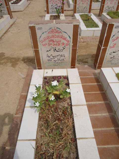 6335 – Nuzhat Fatima