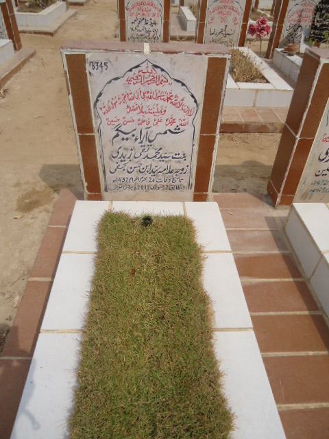 6345 – Shams Aara Begum