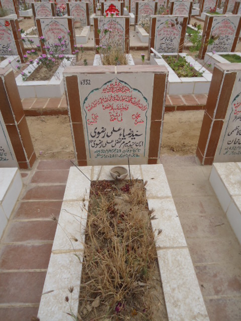6352 – Syed Zia Ali Rizvi